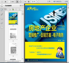 房地產(chǎn)企業(yè)營(yíng)銷(xiāo)策劃推廣、促銷(xiāo)方案與電子商務(wù)網(wǎng)絡(luò)營(yíng)銷(xiāo)的整合策略